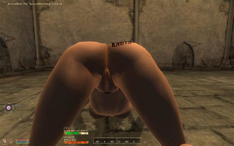 Open Vagina Page Oblivion Adult Mods Loverslab