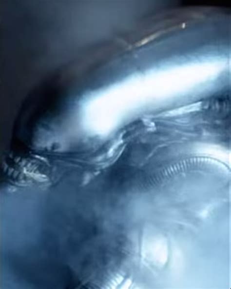 The Alien (Xenomorph) | Xenopedia | Fandom