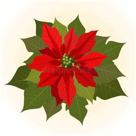 Christmas Seamless Garland With Red Poinsettia Flowers Vector