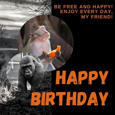 Happy Birthday Images And Cards With Monkeys