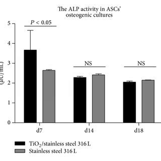 Effect Of Culture Conditions On ALP Activity In ASCs A And BMSCs B