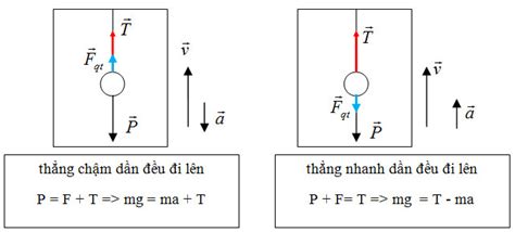 Quán tính là gì? Tìm hiểu lực quán tính trong các hệ quy chiếu - Phế ...