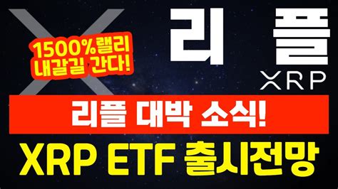 리플 Xrp 리플 대박 소식 Xrp Etf 출시 전망 Youtube