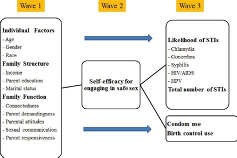 Conceptual Framework Social Cognitive Theory Was Use To Conceptualize Download Scientific