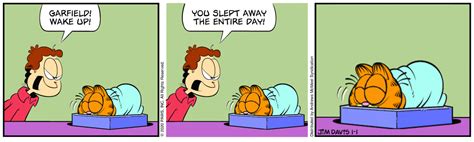 Garfield sleeps : r/garfield