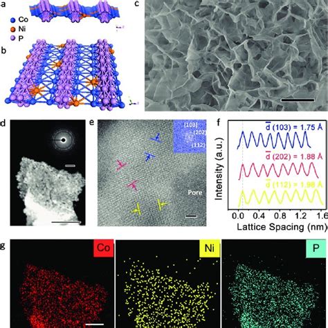 Crystal structure of Ni 0.1 Co 0.9 P; side view (a) and top view (b ... 