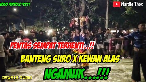 Live Pentas Sempat Terhenti Banteng Suro Dan Kewan Alas Gemparkan