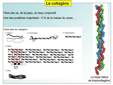 Solution Propri T S De Texturation D Une Proteine Part Studypool