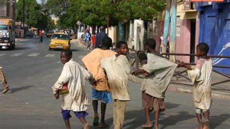 Projet Solidaire Agricole Et Social Au Sénégal Ulule