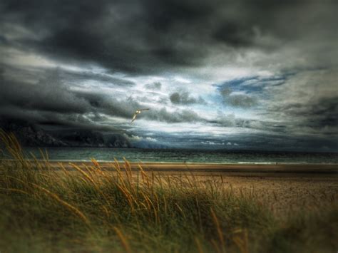 Wallpaper Sunlight Sunset Sea Nature Reflection Grass Sky