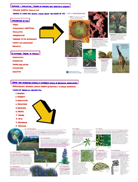 Chapter 1 Evolution, Themes of Biology & Scientific Inquiry - - Studocu