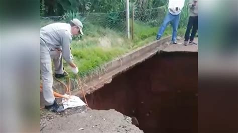 Vídeo cachorro cai em cratera aberta na Zona Sul de Londrina Tem