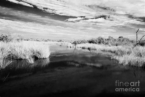 Flooded Grasslands In The Florida Everglades Usa 1 Photograph By Joe