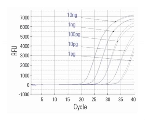 Thermo Scientific Magjet Plant Rna Kitmolecular Biology Reagents And