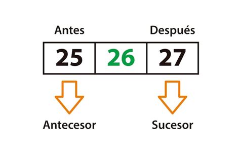 Antecesor Y Sucesor Escolar Abc Color