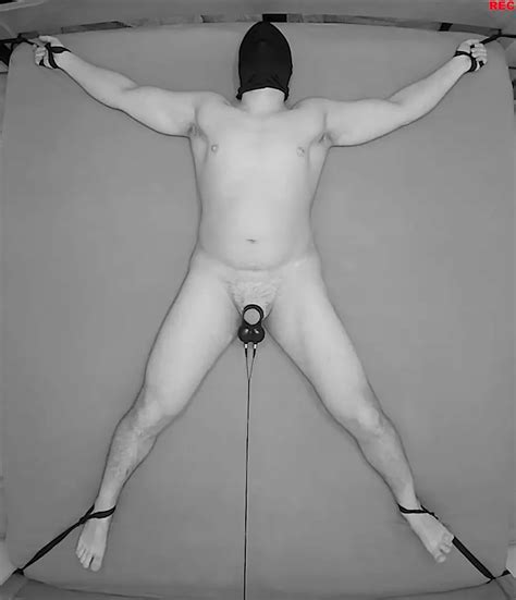 Hour Testicles Electrostimulation Procedure Gay Man Porn Feat Tommy XHamster