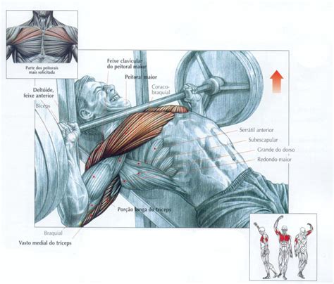 Supino Inclinado Coloque Este Exercício no Treino de Peito