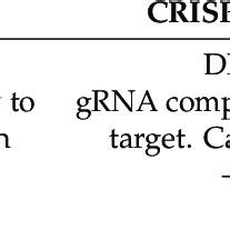 Comparison Of CRISPRi CRISPR Cas9 And RNAi Methods For Knock Down Of