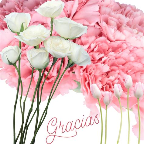 Agradecimiento Gratitud Gracias Imagen Gratis En Pixabay Pixabay