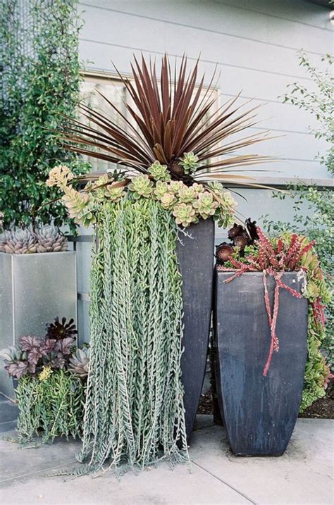 Tall Succulent Planter Ideas — Freshouz Home And Architecture Decor Succulent Garden Design