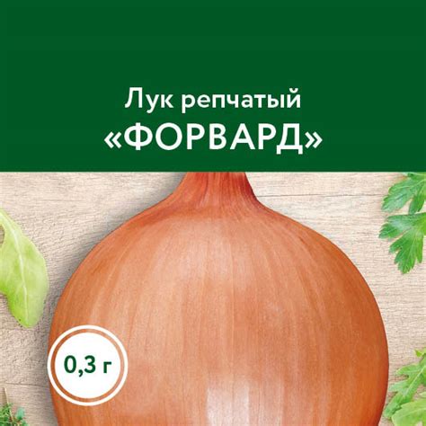 Лук репчатый «Форвард» – купить саженцы оптом и в розницу – питомник ...