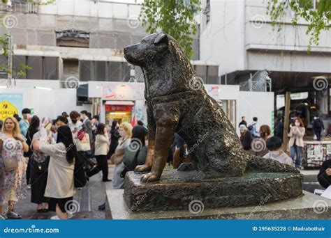 Hachiko Bronze Statue At Shibuya Station Tokyo Japan Editorial Stock