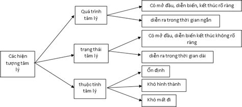 X Y D Ng V S D Ng S Graph Trong Gi Ng D Y H C Ph N T M L H C I