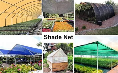 Prefab Square Greenhouse For Agriculture At 1400 Square Meter In