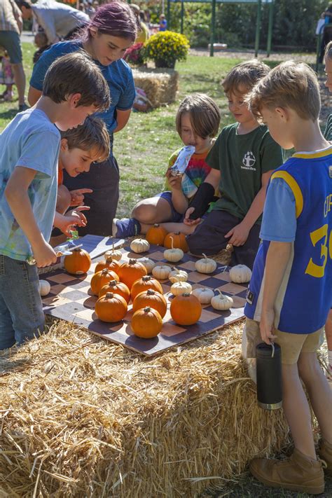 Harvest Festival 2023 — Portland Waldorf School