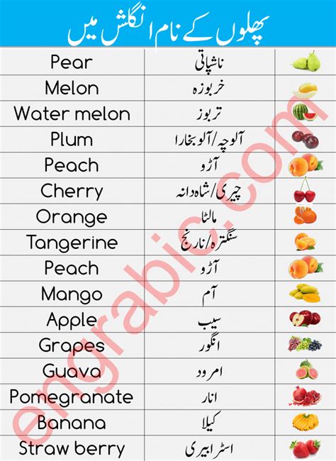 Fruits Names In Urdu And English With Pictures Engrabic