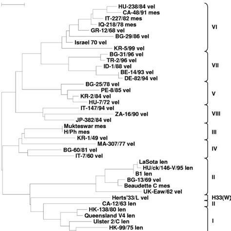 Phylogenetic Analysis Of Nucleotide Sequences From Ndv Strains Based On