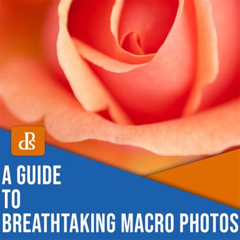 Macro Photography The Complete Guide To Breathtaking Macro Images