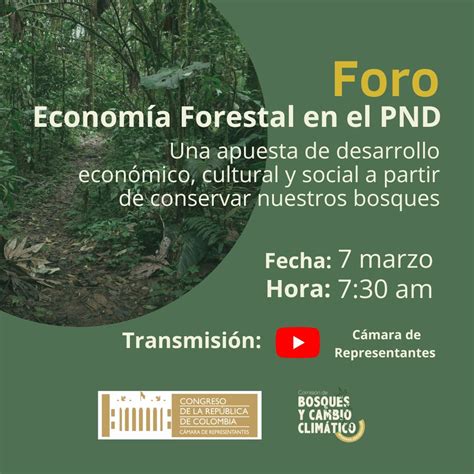 La Econom A Forestal Una Apuesta De Desarrollo Econ Mico Cultural Y