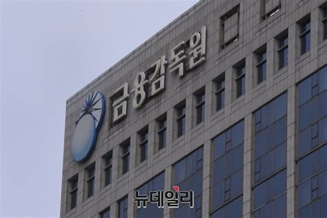 증권사 Ceo 소집한 금감원리서치‧랩‧신탁문제 사장에 책임 Save Internet 뉴데일리