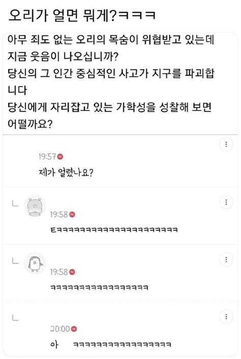 오리가 얼면 뭐게 보배드림 유머게시판