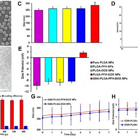 A Sem Image Of Gsn Plga Pfh Dox Nps Scale Bar Nm B Tem