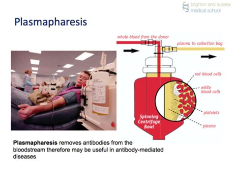 Plasmapheresis Flashcards | Quizlet