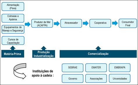 Cadeia Produtiva Do Mel Da Acafpa Fonte Pesquisa De Campo