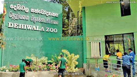 Dehiwala Zoo - Several animals living alone without companions - Hiru ...