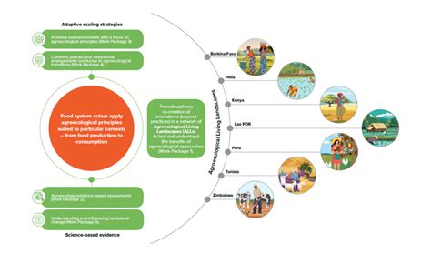 Agroecology Is Gaining Momentum Cgiar