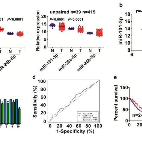 The Association Of SNHG6 Expression With Clinicopathological