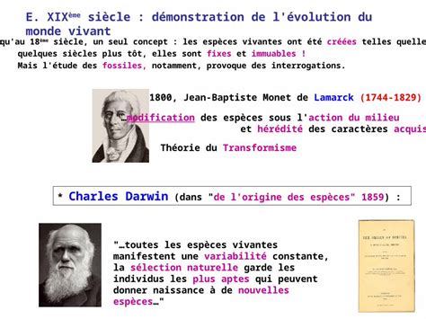 Ppt En Jean Baptiste Monet De Lamarck E Xix