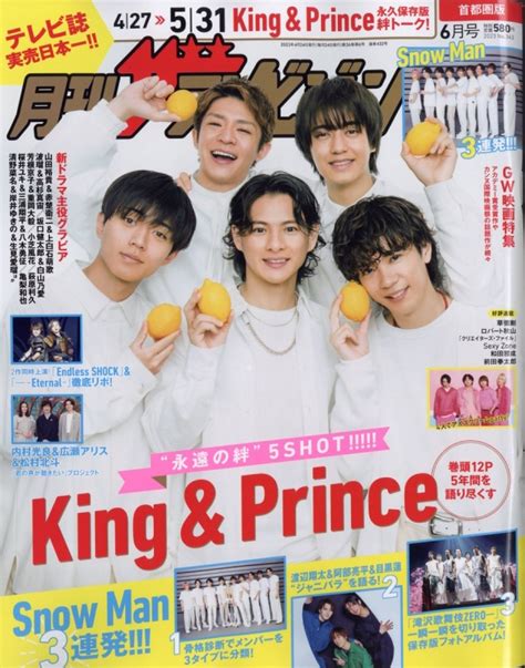 月刊ザ・テレビジョン 首都圏版 2023年 6月号【表紙：king And Prince】 ザテレビジョン編集部 Hmvandbooks