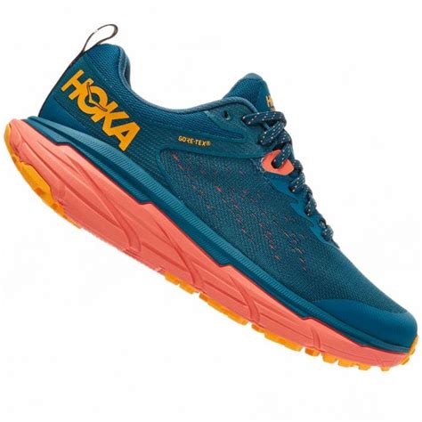 Challenger ATR 6 GTX Womens Waterproof Trail Running Shoes Blue Coral ...