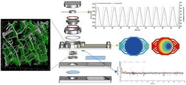 A Microphysiological System For Studying Human Bone Biology Under