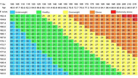 Todo Sobre El índice De Masa Corporal Y El De Grasa