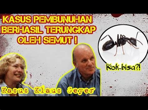 Semut Berhasil Ungkap Kasus Pembunuhan Kasus Klaus Geyer Youtube