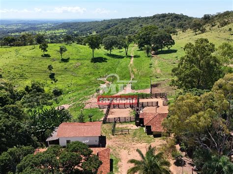 Mil Fazendas Fazenda Para Pecu Ria Intensiva Diferenciada Rea