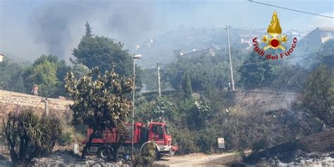 Il Caldo Riporta Gli Incendi Nel Palermitano Devastati I Campi Tra