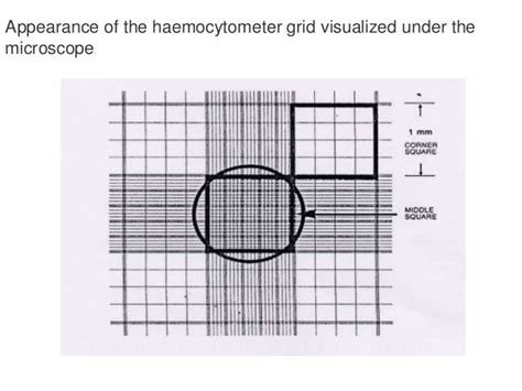 Haemocytometer Ppt Animal Cell Culture